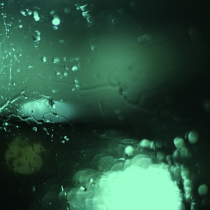 520886·moc美国叛
